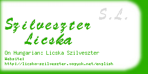 szilveszter licska business card